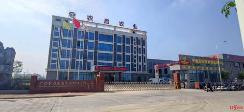 紅星調(diào)查 三家公司中標廣西平南學(xué)校食堂食品配送項目后,統(tǒng)一配送的大米被緊急召回