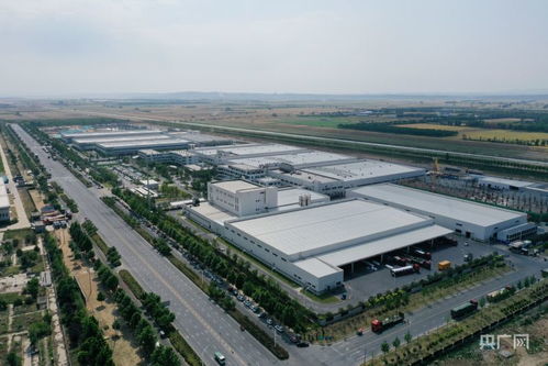 河南溫縣 一甜一咸 助推食品產業(yè)發(fā)展