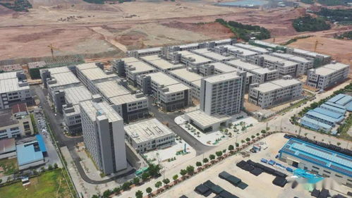 半年報 梧州高新區 強龍頭 補鏈條 聚集群 上半年實現雙過半目標